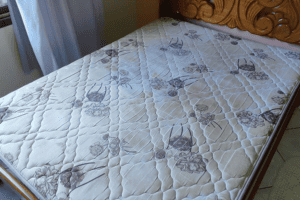 Poltrona antes da limpeza